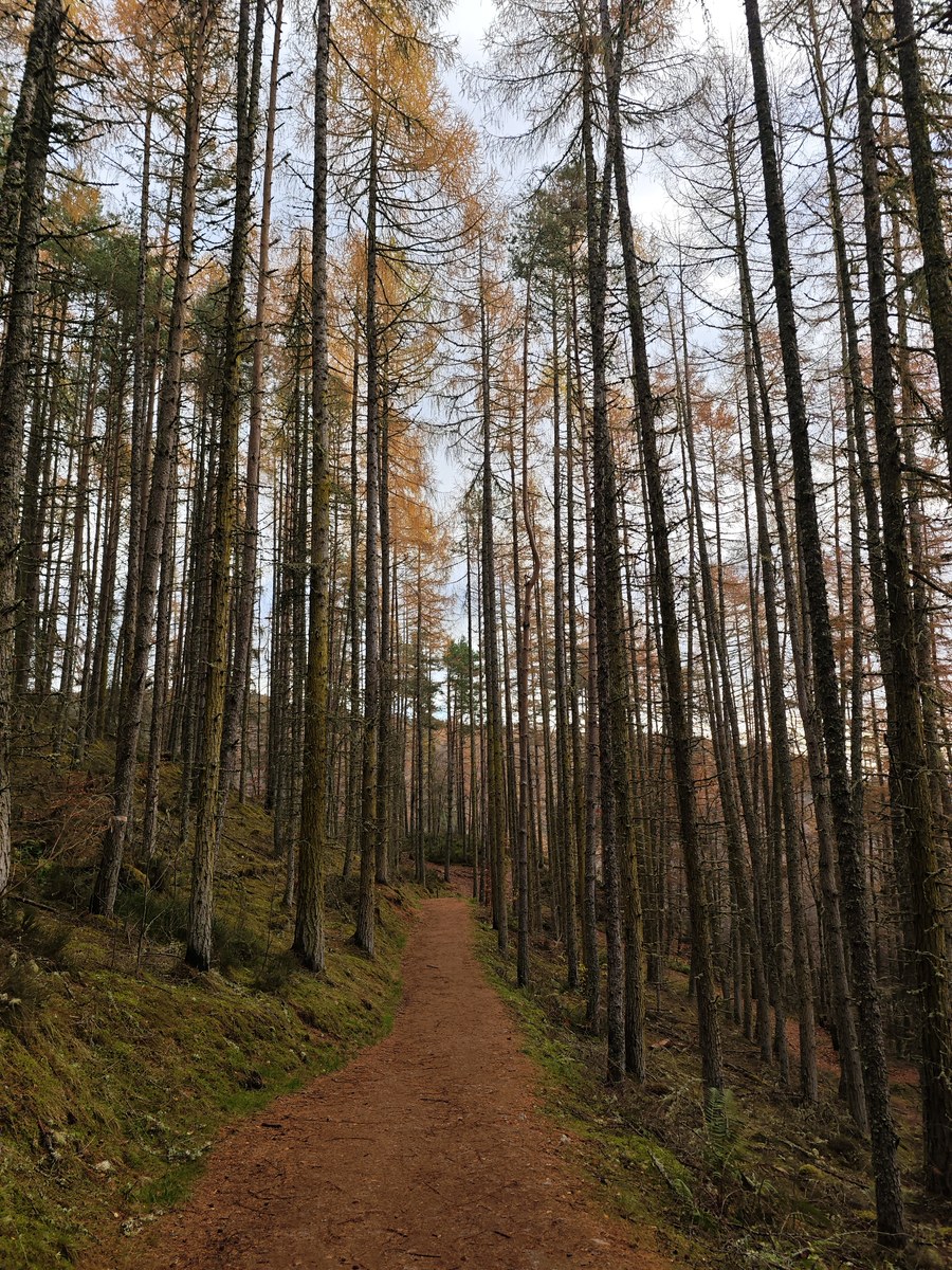 英国·罗基瀑布(Rogie Falls)