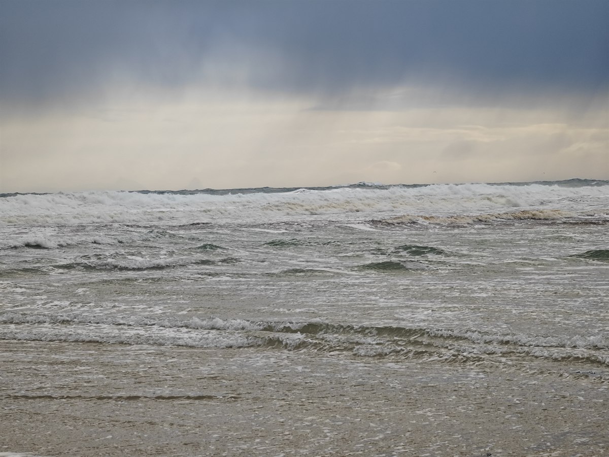 IMG_20251113_095323.jpg 大风下的海浪