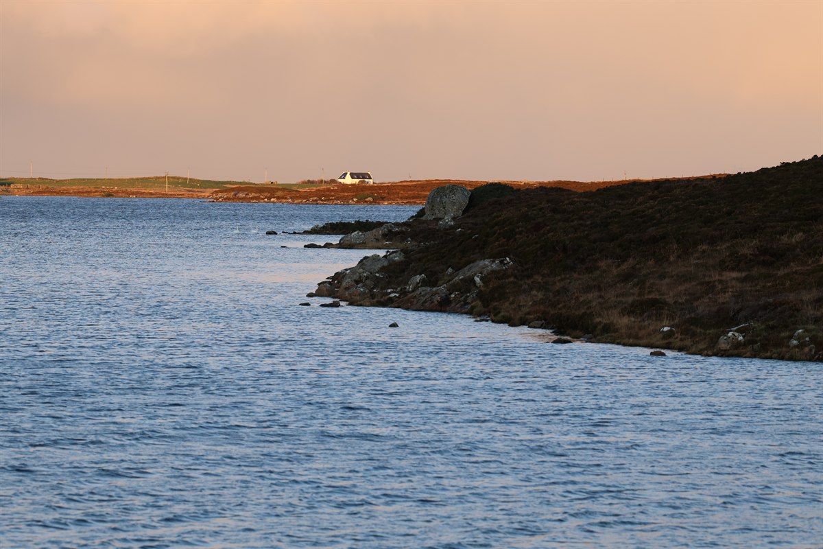 OG7A3703.JPG 清晨的水湾草地